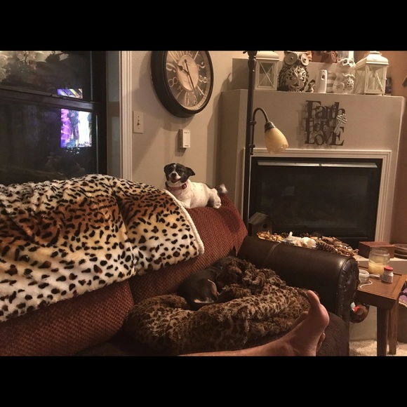 Meet your Posher, Dawn - Picture 5 of 8